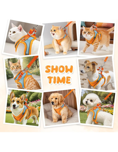 Arnés y Correa para Gatos Jieffifa - Chaleco Ajustable Reflectante
