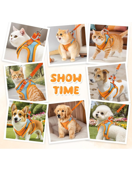 Arnés y Correa para Gatos Jieffifa - Chaleco Ajustable Reflectante