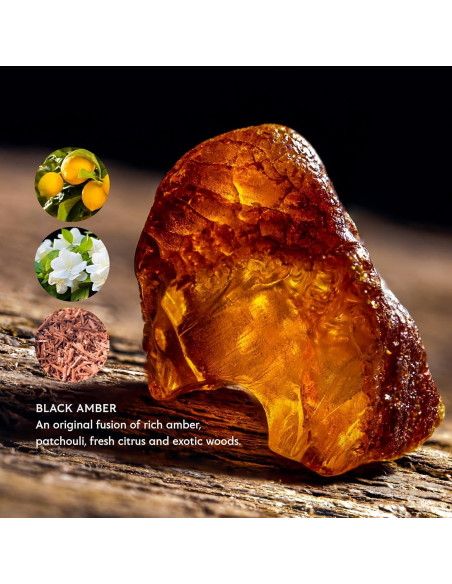 Jabón Líquido para Manos Mistral 500 ml Ámbar Negro Hidratante