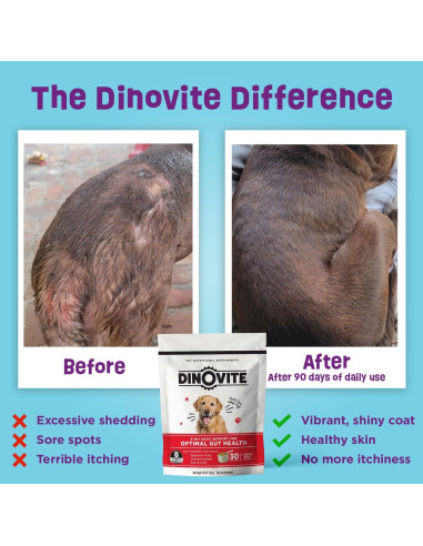 Dinovite 3 en 1 Probiotico para Perros Pequeños 30 Porciones