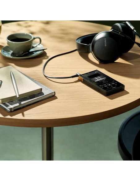 Reproductor de Medios Digitales Hi-Res Sony Walkman NW-ZX707 64GB