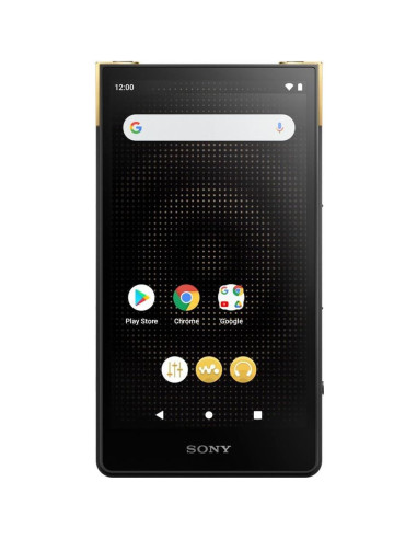 Reproductor de Medios Digitales Hi-Res Sony Walkman NW-ZX707 64GB