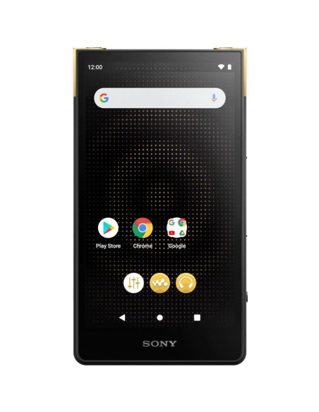Reproductor de Medios Digitales Hi-Res Sony Walkman NW-ZX707 64GB