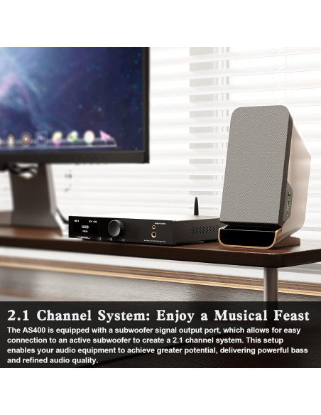 Amplificador de Potencia S.M.S.L AS400 165W DAC 2.1 Canales