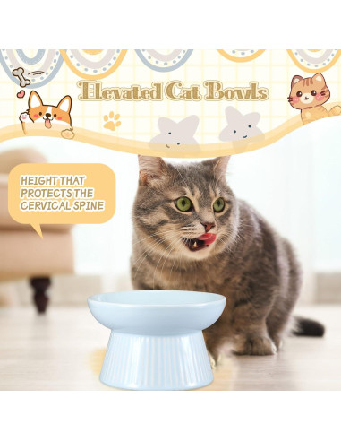 Cuencos Elevados para Gatos Layhit de Cerámica 15x9cm 2 Piezas