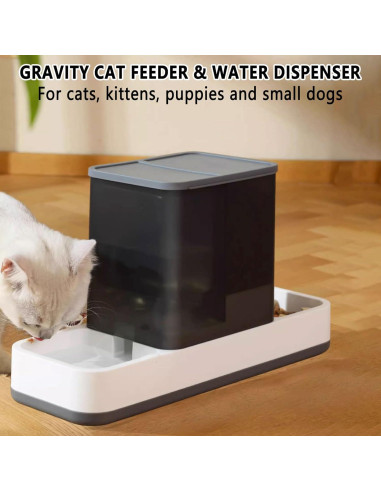 Dispensador automático de comida y agua Kathson 2 en 1 gris