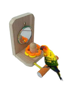 Percha para Pájaro con Espejo Litewood 9.5x11x14cm Madera