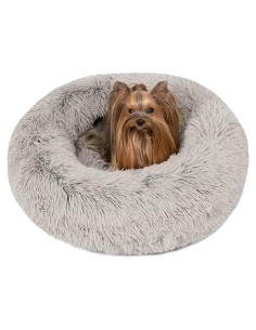 Cama para Perros Pequeños Friends Forever Donut Gris 58.4cm