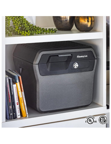 Caja de Seguridad SentrySafe FHW40100 a Prueba de Fuego y Agua