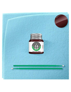 Pintura Automotriz ERA B4/19X Marrón Castaño Metálico 7.4ml