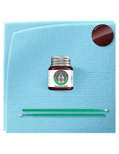 Pintura Automotriz ERA B4/19X Marrón Castaño Metálico 7.4ml