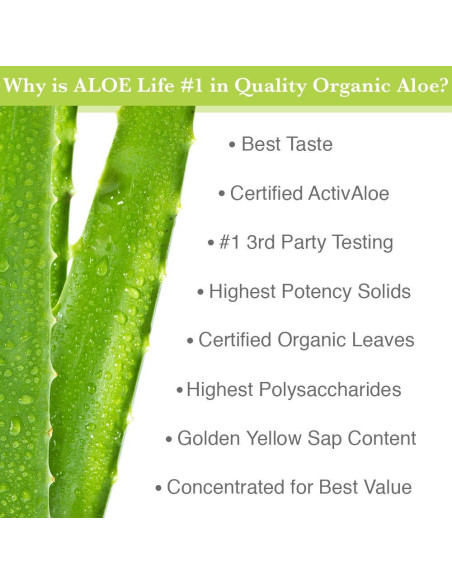 Gel Personal Hidratante Intimo Aloe Life 113g - Orgánico y Sin Fragancia