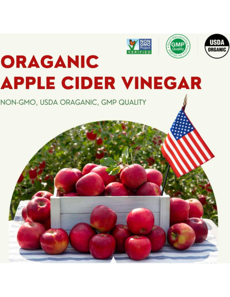 ALLBIO Vinagre de Sidra de Manzana Orgánico en Palitos 15 Unidades