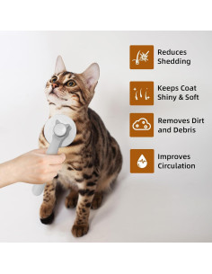 Cepillo Slicker Autolimpiante para Gatos y Perros Rosa - Mango Ergonómico 2