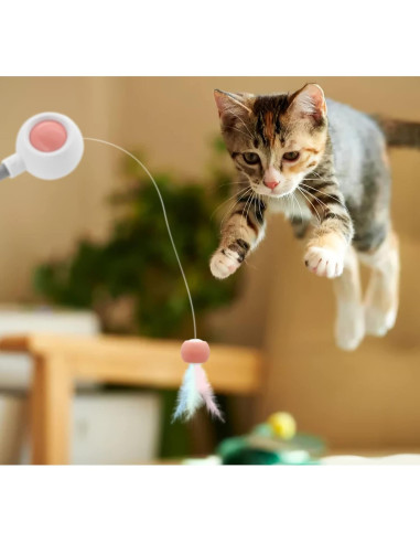 Varita Retráctil para Gatos Andiker con Plumas y Cabeza Reemplazable