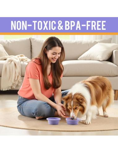 Tazón Plegable para Perros Li&Zhao - Silicona Antideslizante