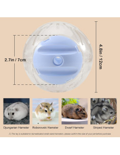 Bola de Hámster 12 cm PETFROH 3 en 1 Rueda y Coche 2