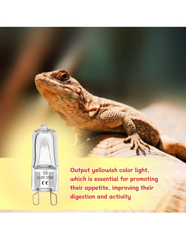 Bombillas de Calor G9 Abustle Pig 25W para Reptiles - 10 Unidades