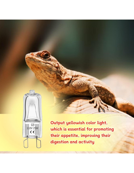 Bombillas de Calor G9 Abustle Pig 25W para Reptiles - 10 Unidades