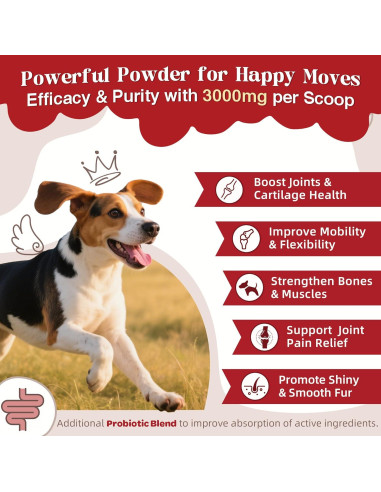 Suplemento Articular para Perros ZEBORA 270g - Glucosamina, Omega-3