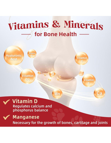 Suplemento Articular para Perros ZEBORA 270g - Glucosamina, Omega-3