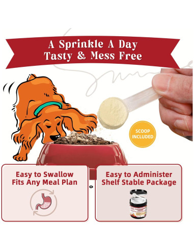 Suplemento Articular para Perros ZEBORA 270g - Glucosamina, Omega-3