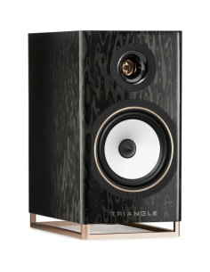Altavoces Activos Inalámbricos Triangle CAPELLA 100W - Negro 2