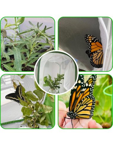 Jaula de Insectos Plegable Khsp5d 60x60x90 cm para Mariposas