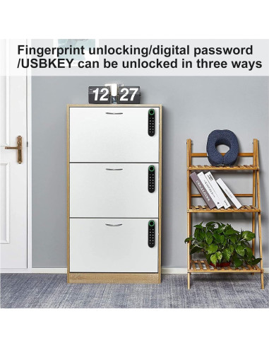 Cerradura de Gabinete MYPIN con Huella Dactilar y USB