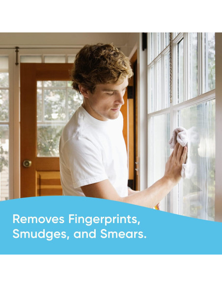 Windex Limpiador Multiusos Desinfectante 23 oz Glade Primavera