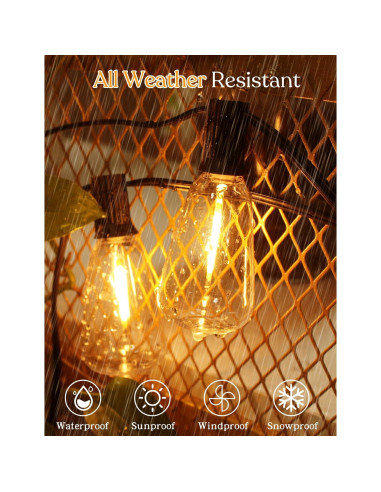 Cadena de Luces LED 15.24m YOYONACY con Control Remoto