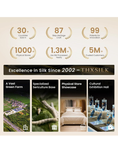 Funda de Almohada de Seda de Morera THXSILK Estándar Azul - Juego de 2