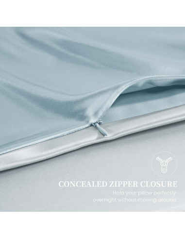 Funda de Almohada de Seda de Morera THXSILK Estándar Azul - Juego de 2
