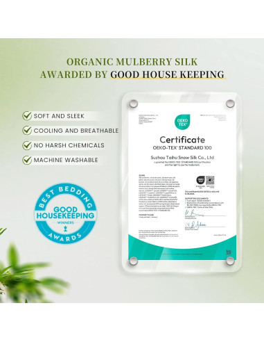 Funda de Almohada de Seda de Morera THXSILK Estándar Azul - Juego de 2