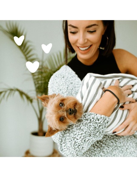 Champú para perros earthbath 16 Oz - Alivio picazón aceite árbol té