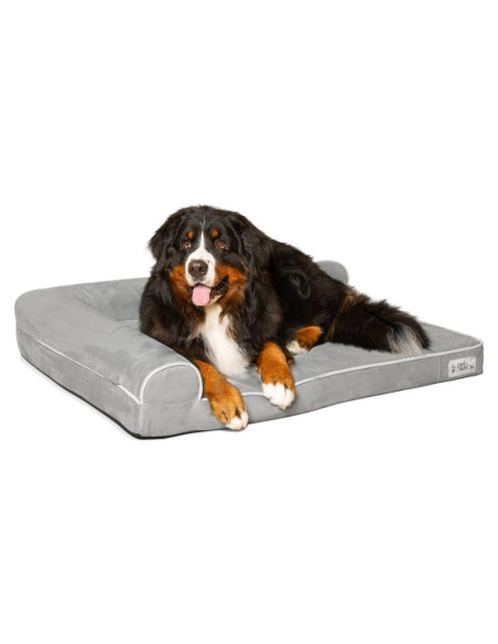 Cama Ortopédica para Perros PetFusion XL 111.8x86.4cm Espuma Memoria