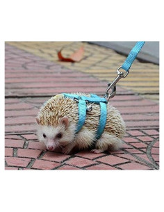 Arnés Ajustable para Erizos Hokmly 1cm x 110cm Azul