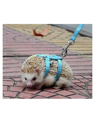 Arnés Ajustable para Erizos Hokmly 1cm x 110cm Azul