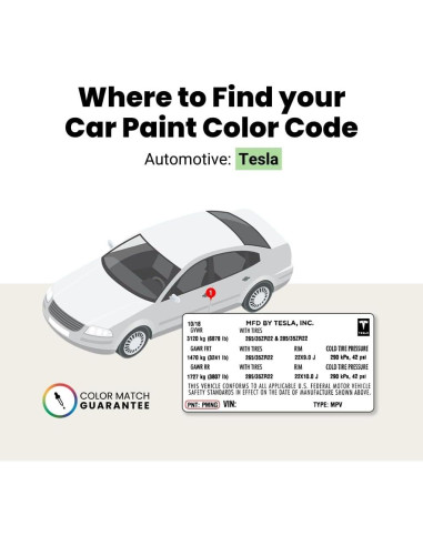 Pintura de Retoque TouchUpDirect Plata Estelar Metálico - Kit Preferido