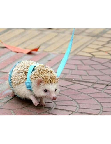 Arnés Ajustable para Erizos Hokmly 1cm x 110cm Azul