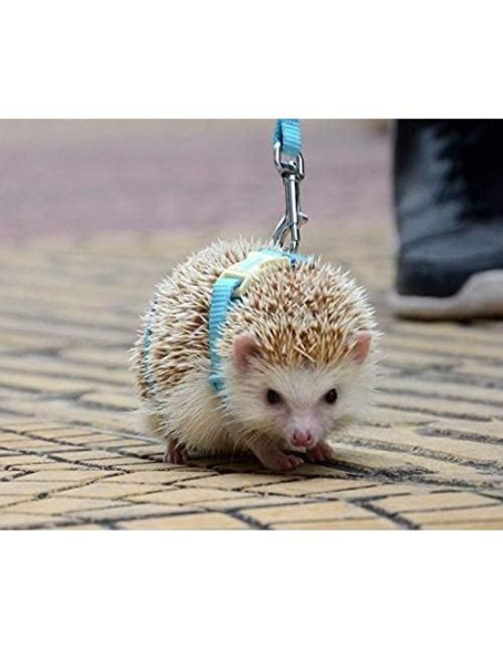 Arnés Ajustable para Erizos Hokmly 1cm x 110cm Azul