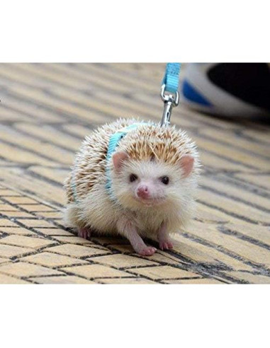 Arnés Ajustable para Erizos Hokmly 1cm x 110cm Azul