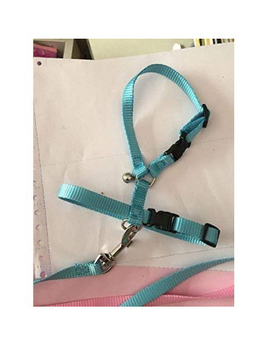 Arnés Ajustable para Erizos Hokmly 1cm x 110cm Azul