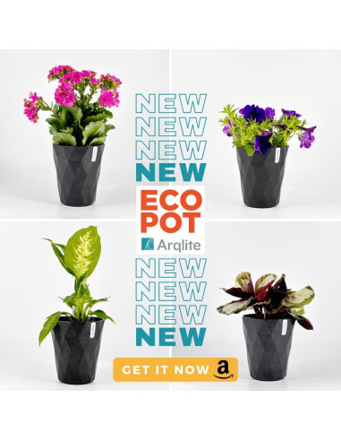 Grava Ecológica Arqlite 2 Galones para Drenaje y Jardinería