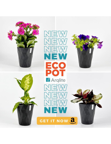 Grava Ecológica Arqlite 2 Galones para Drenaje y Jardinería