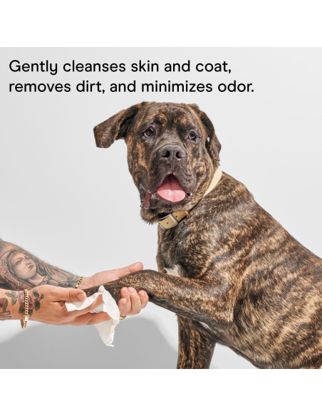 Toallitas Naturales para Perros Wild One Eucalipto 70 Unidades