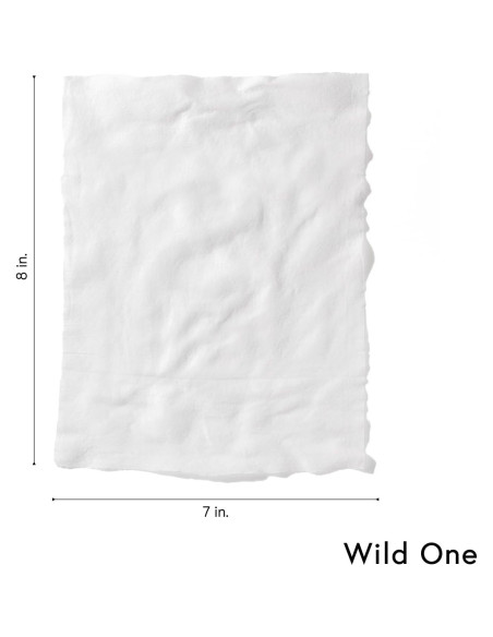 Toallitas Naturales para Perros Wild One Eucalipto 70 Unidades