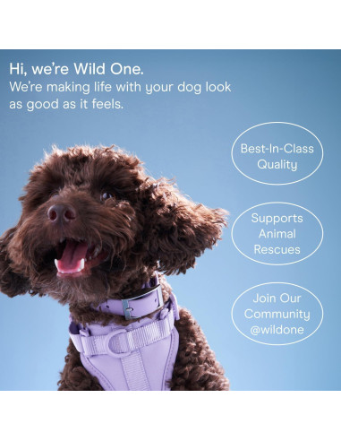 Toallitas Naturales para Perros Wild One Eucalipto 70 Unidades