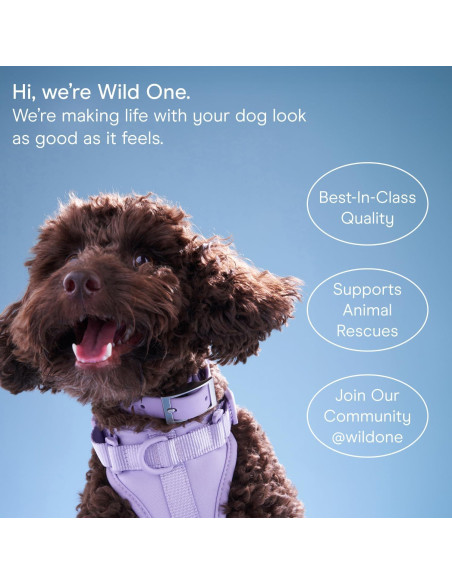 Toallitas Naturales para Perros Wild One Eucalipto 70 Unidades