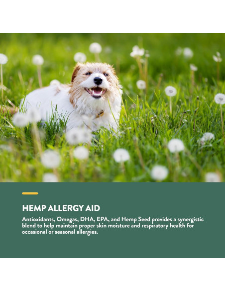 Suplemento NaturVet Hemp Allergy Aid para Perros 60 Masticables